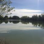 Lac de pêche à la carpe à Lamontjoie - Camping St Louis